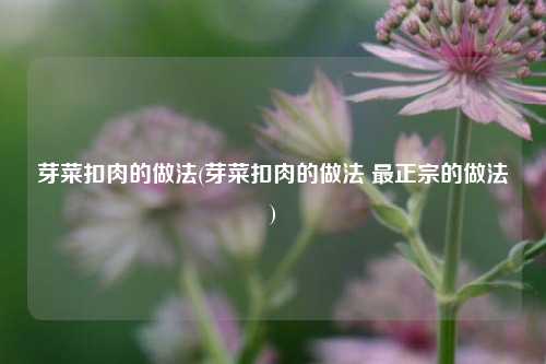 芽菜扣肉的做法(芽菜扣肉的做法 最正宗的做法)