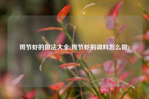 斑节虾的做法大全(斑节虾的调料怎么做)