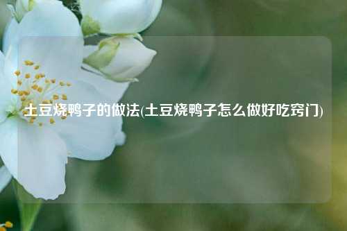 土豆烧鸭子的做法(土豆烧鸭子怎么做好吃窍门)