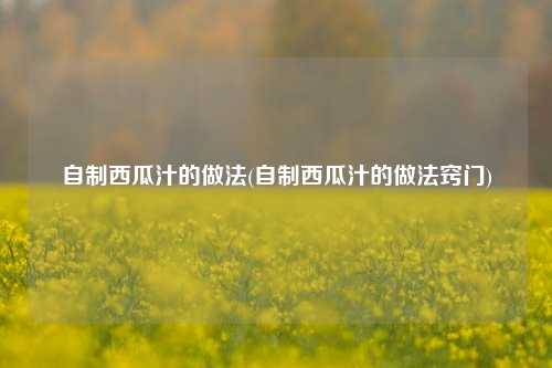 自制西瓜汁的做法(自制西瓜汁的做法窍门)
