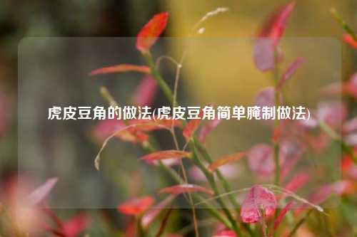 虎皮豆角的做法(虎皮豆角简单腌制做法)