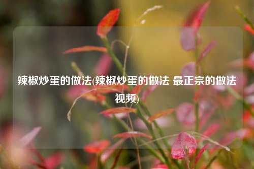 辣椒炒蛋的做法(辣椒炒蛋的做法 最正宗的做法视频)