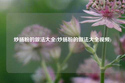 炒肠粉的做法大全(炒肠粉的做法大全视频)