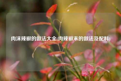 肉沫辣椒的做法大全(肉辣椒末的做法及配料)