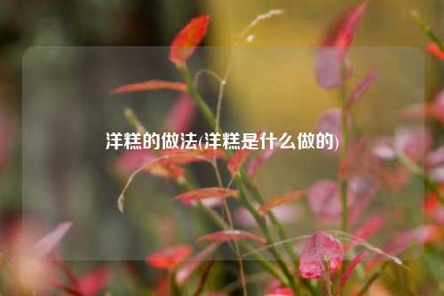洋糕的做法(洋糕是什么做的)