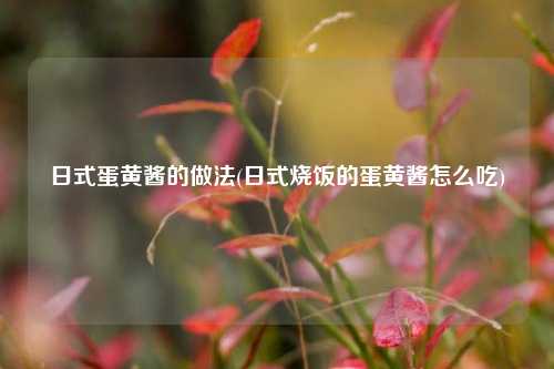 日式蛋黄酱的做法(日式烧饭的蛋黄酱怎么吃)