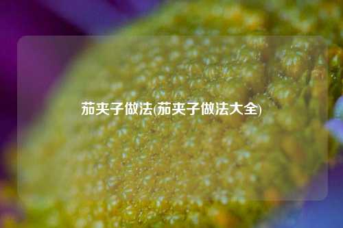 茄夹子做法(茄夹子做法大全)