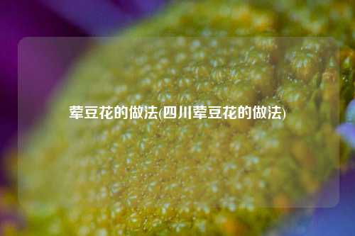 荤豆花的做法(四川荤豆花的做法)