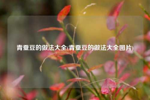 青蚕豆的做法大全(青蚕豆的做法大全图片)