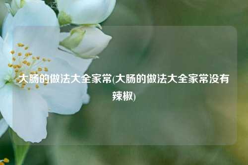 大肠的做法大全家常(大肠的做法大全家常没有辣椒)