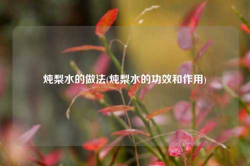 炖梨水的做法(炖梨水的功效和作用)